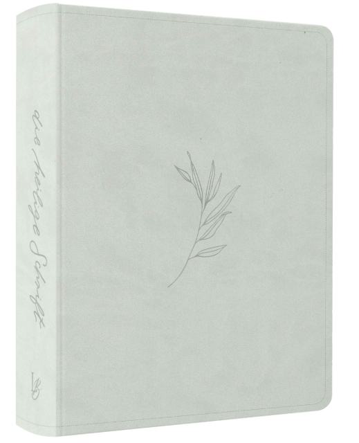 Schlachter Liebezurbibel (Schreibrandbibel Eden) - Flexibler Kunstledereinband - Mint mit...