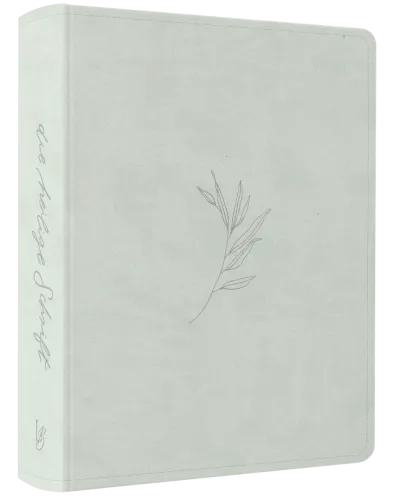 Schlachter Liebezurbibel (Schreibrandbibel Eden) - Flexibler Kunstledereinband - Mint mit...