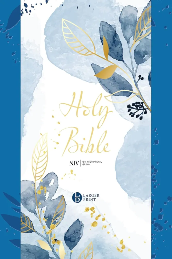Anglais, Bible New International Version, gros caractères, couverture bleue avec fleurs stylées,...