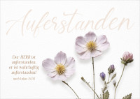 Minikarten zu Ostern