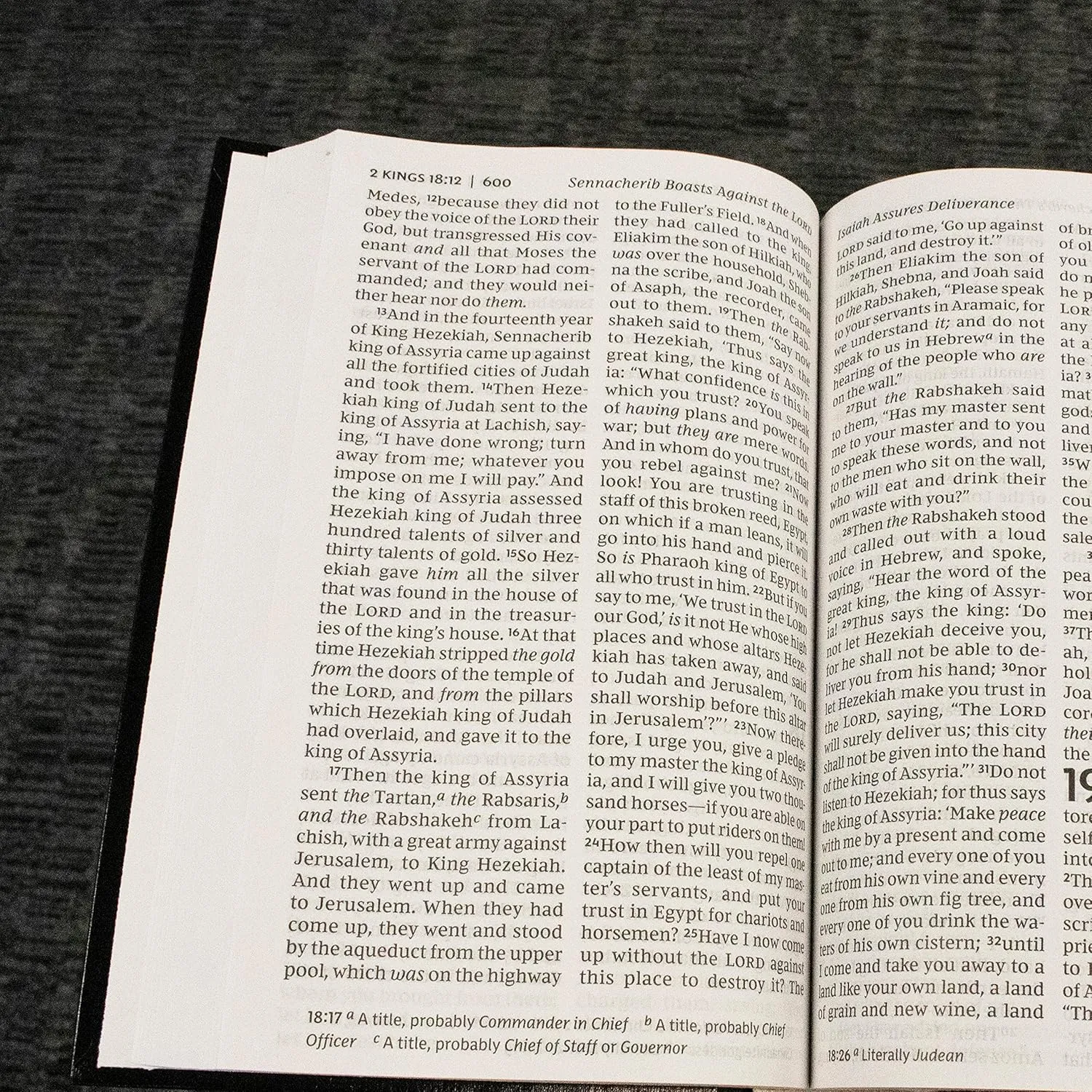 Anglais, Bible, New King James Version, gros caractères, bordeaux