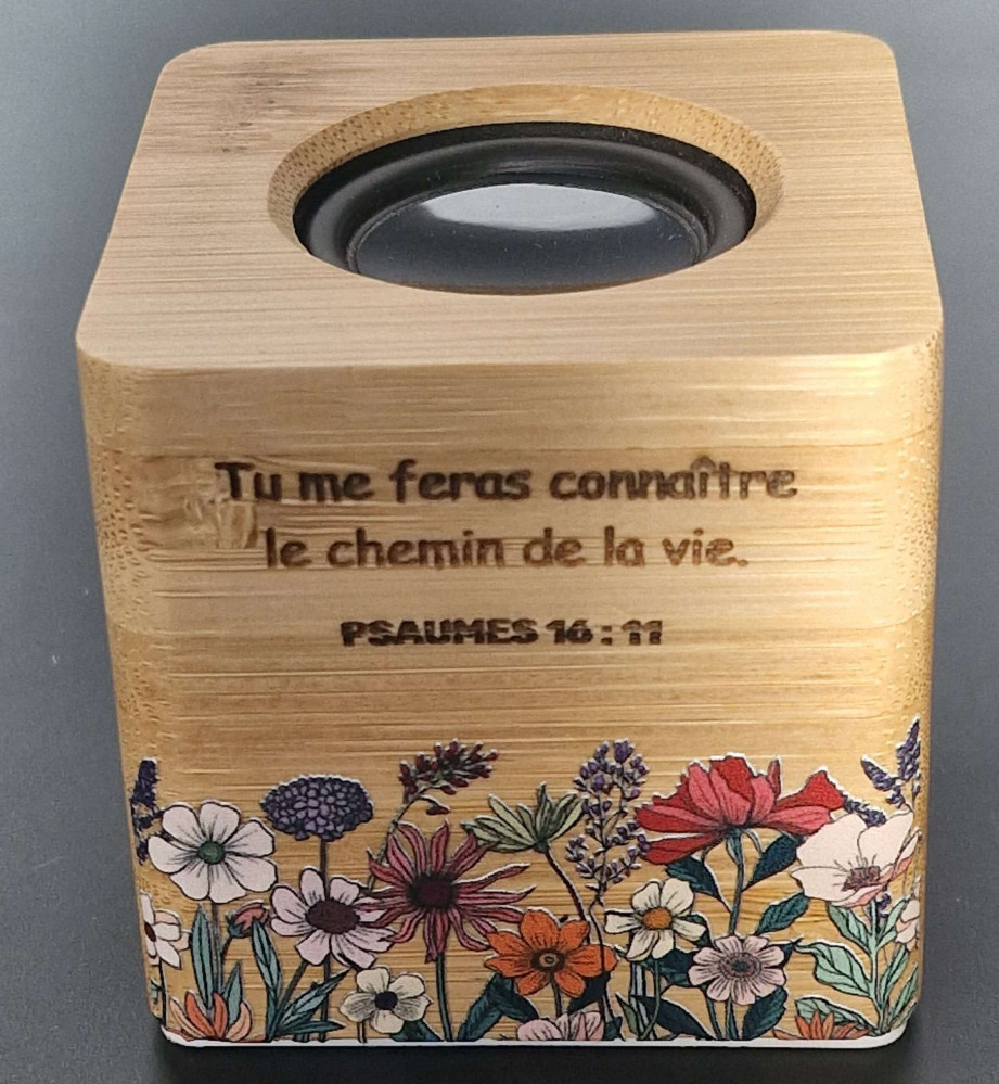 Mini-enceinte Bluetooth - Psaumes 16.11