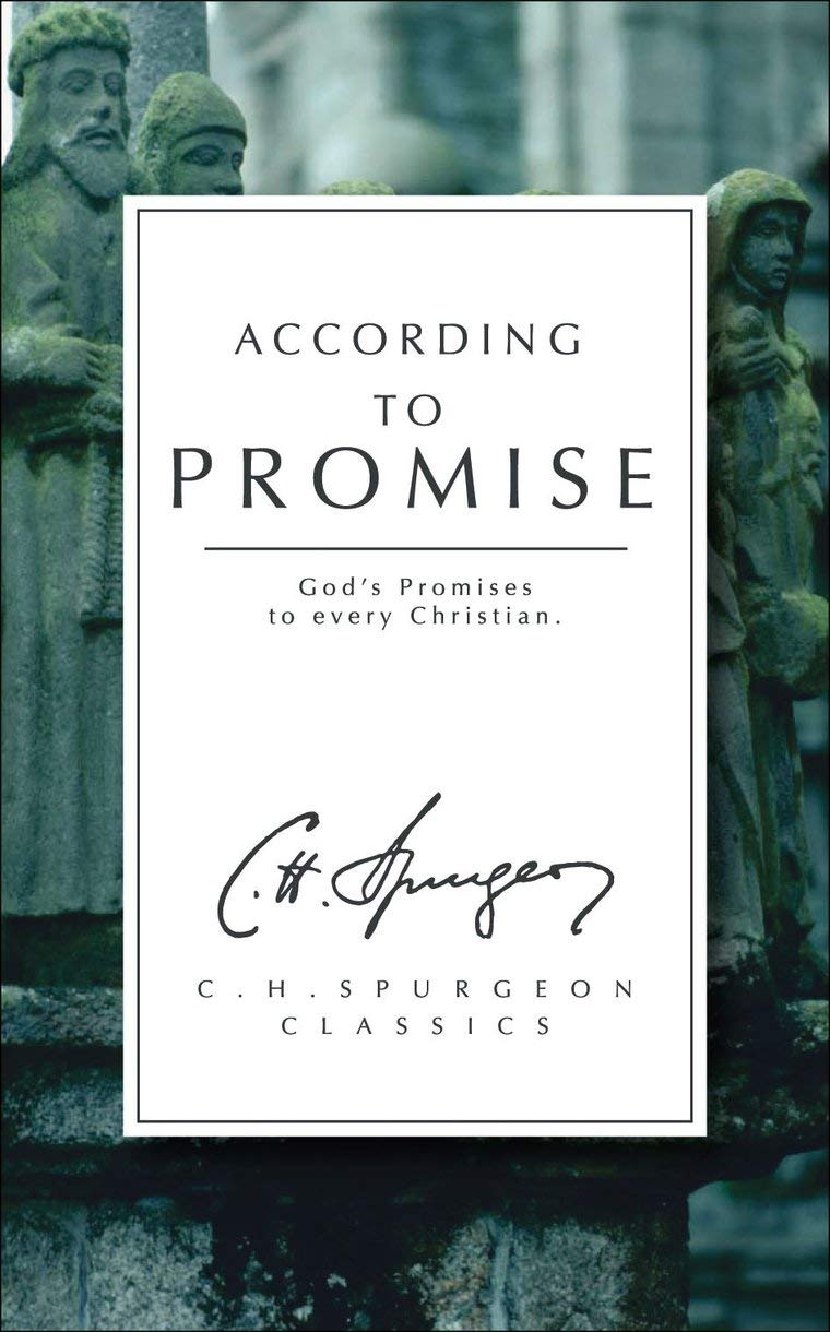 According to Promise - God's Promises to Every Christian