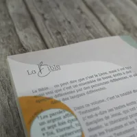 Nouveau Testament, Psaumes et Proverbes, Segond 21, gros caractères - broché