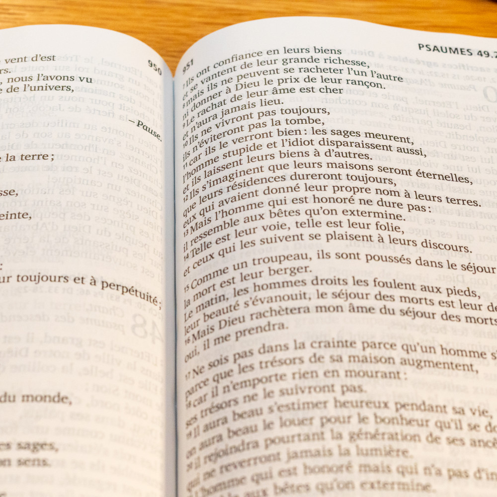 BIBEL SEGOND 21, GROSSDRUCK, ILLUSTRIERT