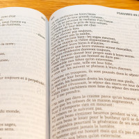 BIBEL SEGOND 21, GROSSDRUCK, ILLUSTRIERT