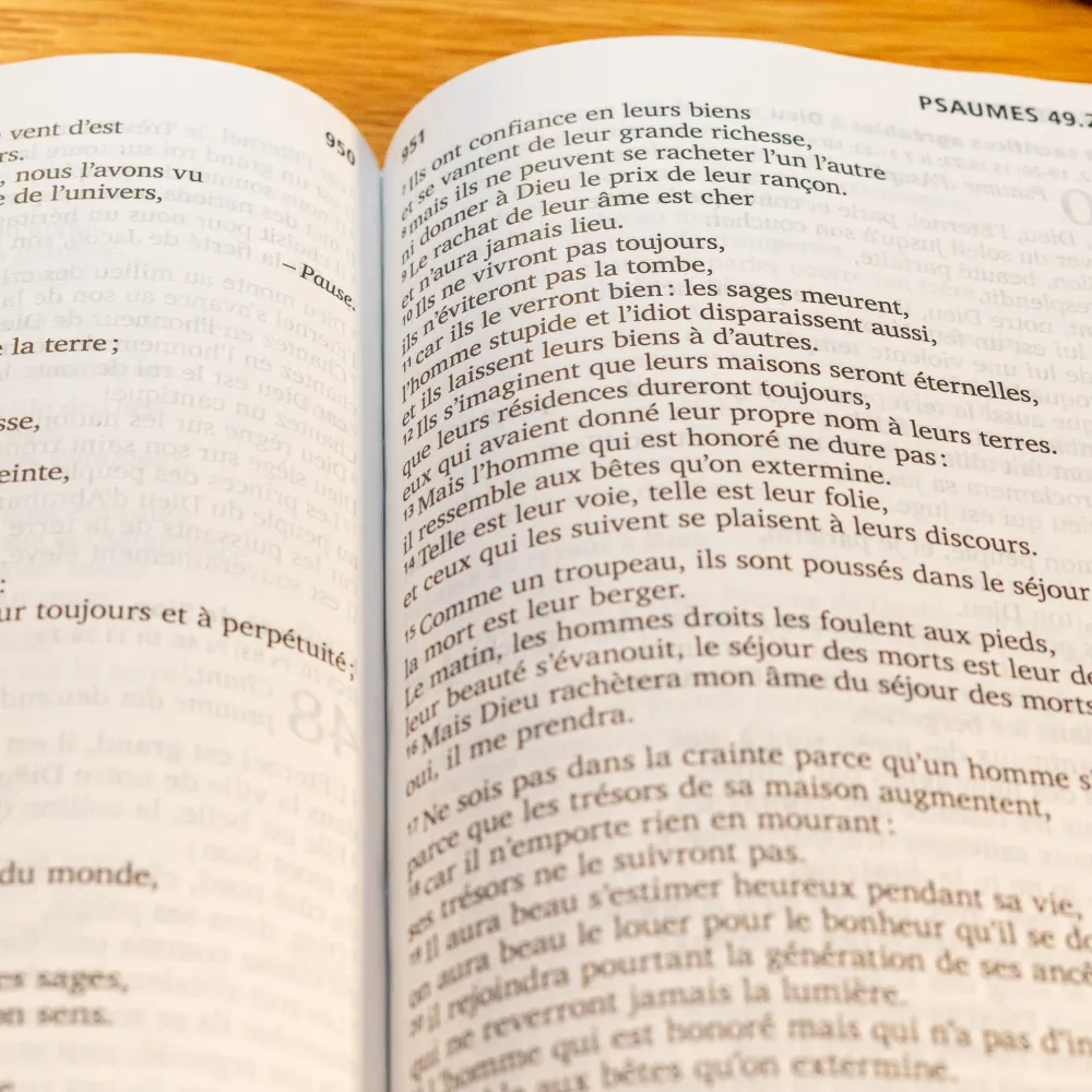 Bible Segond 21, gros caractères - couverture rigide et illustrée