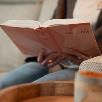 BIBEL SEGOND 21, GROSSDRUCK, ILLUSTRIERT