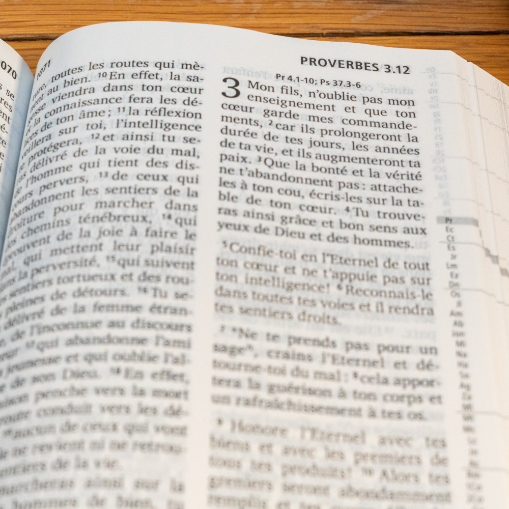 BIBEL SEGOND 21, GROSSDRUCK, ILLUSTRIERT