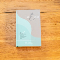 BIBEL SEGOND 21, GROSSDRUCK, ILLUSTRIERT