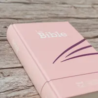 Segond 21 Bibel französisch kompakt - Hardcover Skivertex rosa Marshmallow