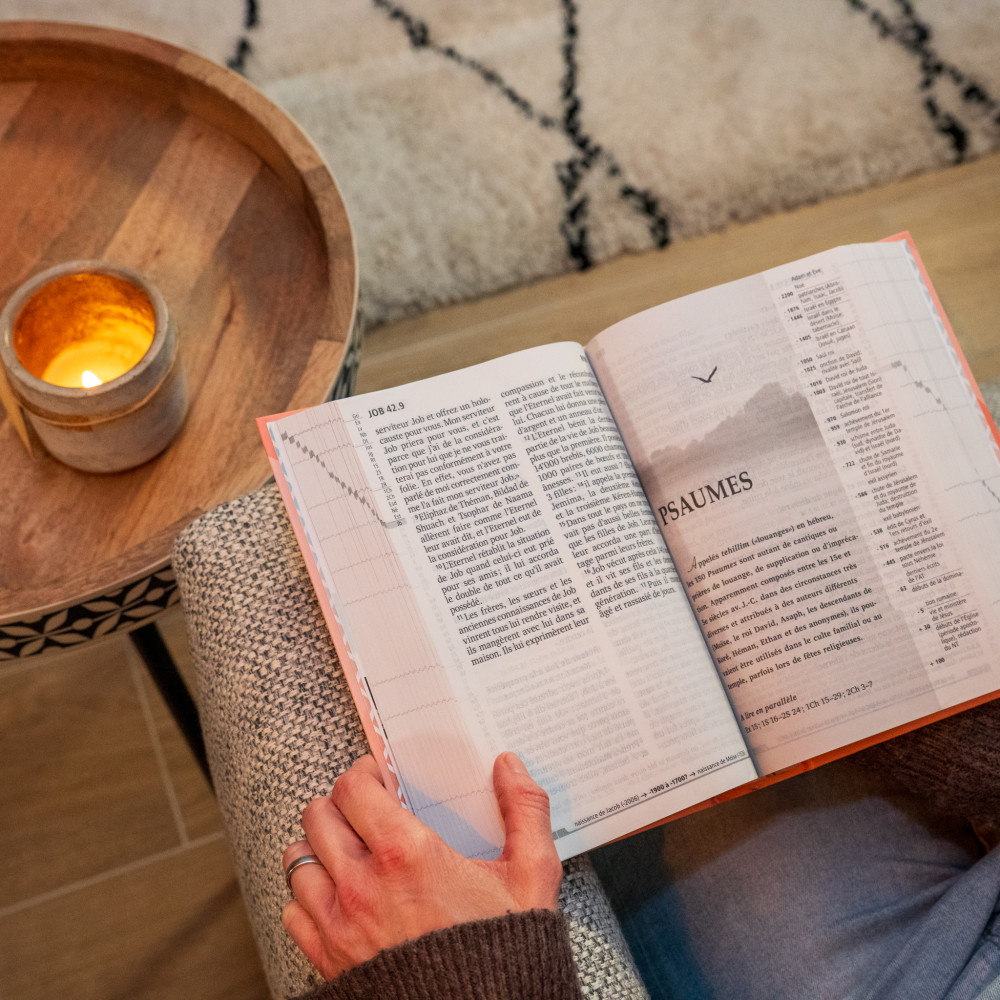 BIBEL SEGOND 21, GROSSDRUCK, ILLUSTRIERT