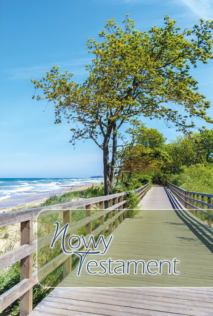 Polonais, Nouveau Testament, Multicolore