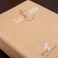 BIBEL SEGOND 21, GROSSDRUCK,