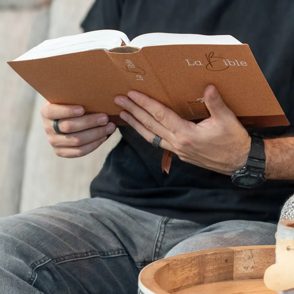 BIBEL SEGOND 21, GROSSDRUCK,