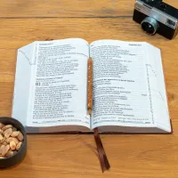 BIBEL SEGOND 21, GROSSDRUCK,