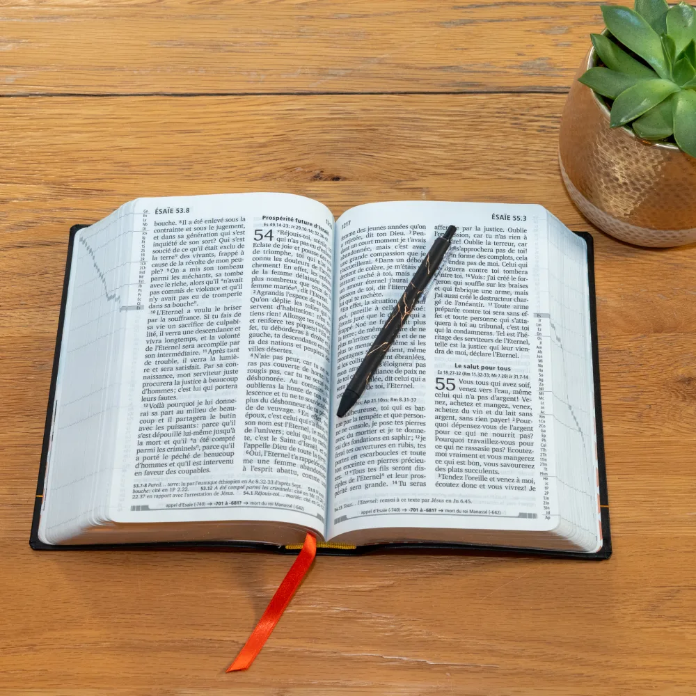 BIBEL SEGOND 21, GROSSDRUCK,