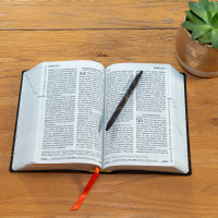 BIBEL SEGOND 21, GROSSDRUCK,