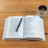 BIBEL SEGOND 21, GROSSDRUCK, WEISS