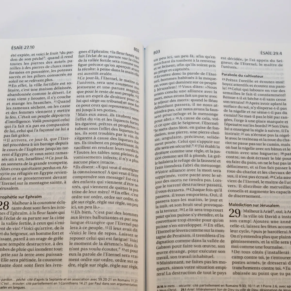 Bibel Segond 21 französisch (Premium Style) - Softcover aus Canvas mit Jeansmuster, mit...