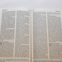 Bibel Segond 21 französisch (Premium Style) - Softcover aus Canvas mit Jeansmuster, mit...