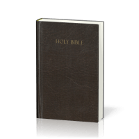 Anglais, Bible Amplified, compact, rigide, brune avec jaquette illustrée