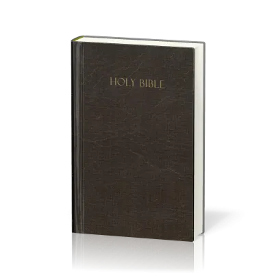 Englisch, Bibel Amplified, kompakt, kartonniert, braun mit illustrierter Umschlag