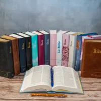 Bibel Segond 21, französisch, (Premium Style) - halbsteifer Einband aus Duoleder in...