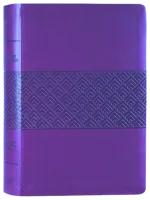 Anglais, Bible d'étude Christian Standard Bible, violet