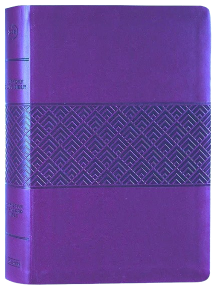 Englisch, Studienbibel Christian Standard Bible, weinrot