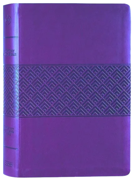 Englisch, Studienbibel Christian Standard Bible, weinrot