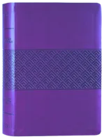 Englisch, Studienbibel Christian Standard Bible, weinrot