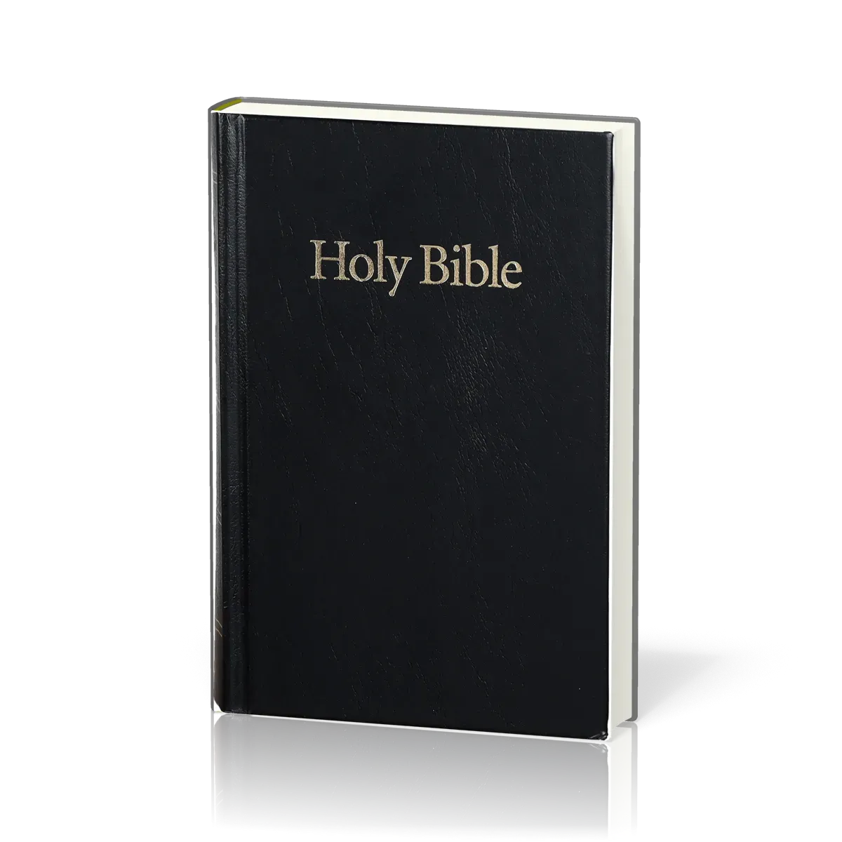 Englisch, Bibel King James Version, kartonniert, schwarz