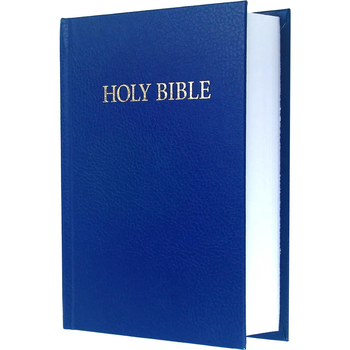 Englisch, Bibel King James Version, gebunden, blau (Royal Ruby Text)