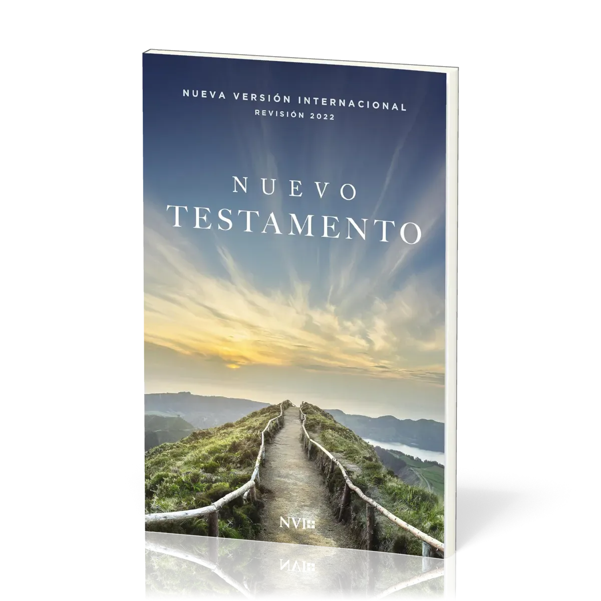 Spanisch, Neues Testament Nueva Versión Internacional, Broschiert.