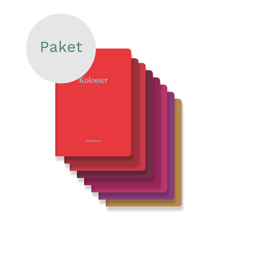 Bibeljournale – Paket (Kolosser – Offenbarung)