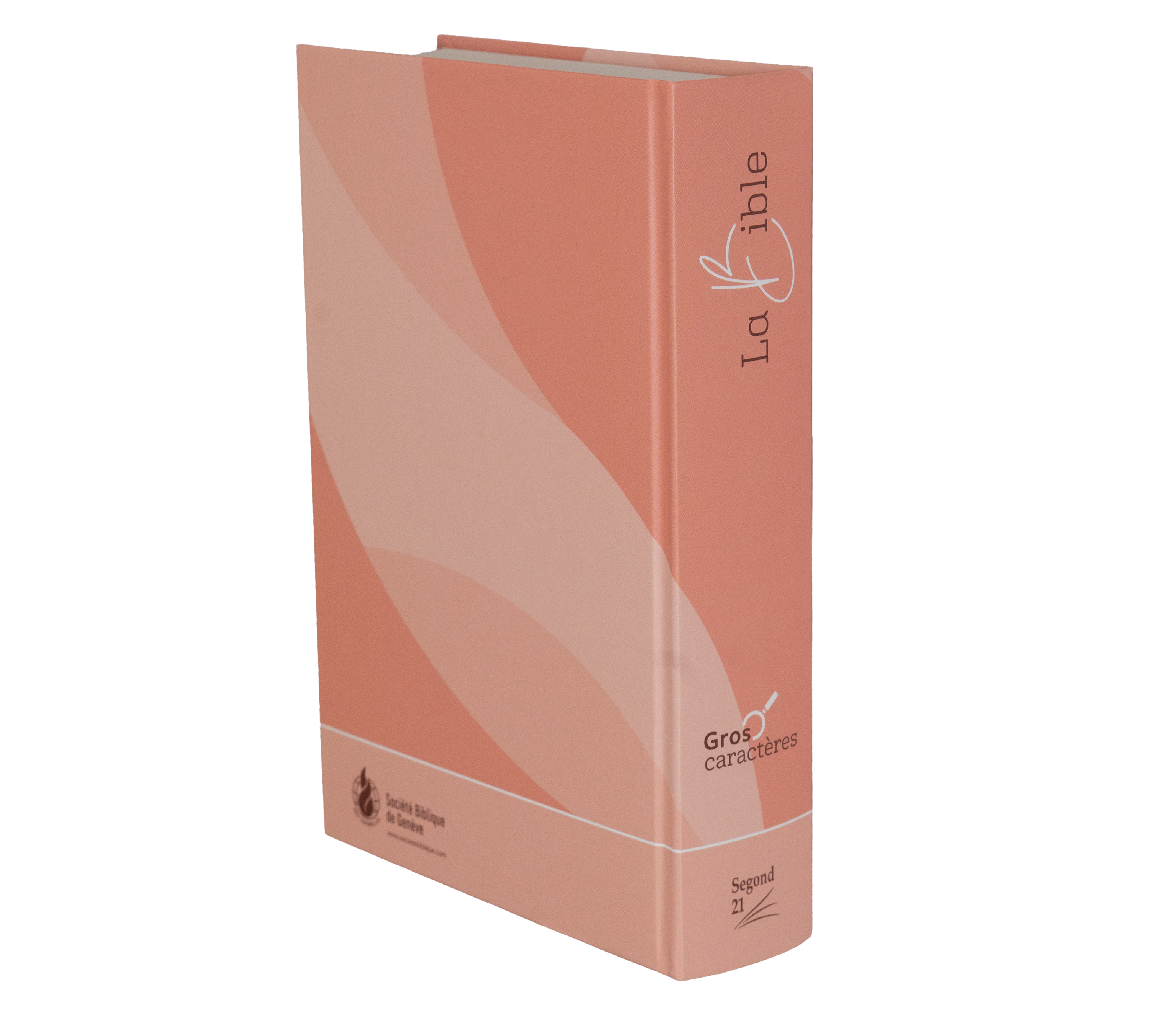 Bible Segond 21, gros caractères - couverture rigide et illustrée