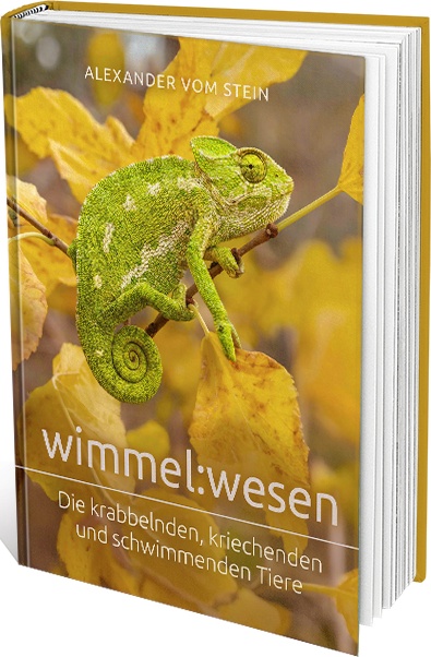 Wimmel:wesen - Die krabbelnden, kriechenden und schwimmenden Tiere