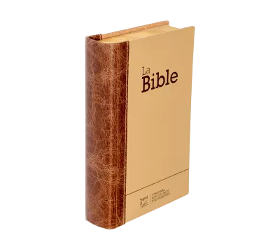 Bible Segond 21 compacte (Premium Style) - couverture semi-rigide duo cuir praliné-chocolat, avec...
