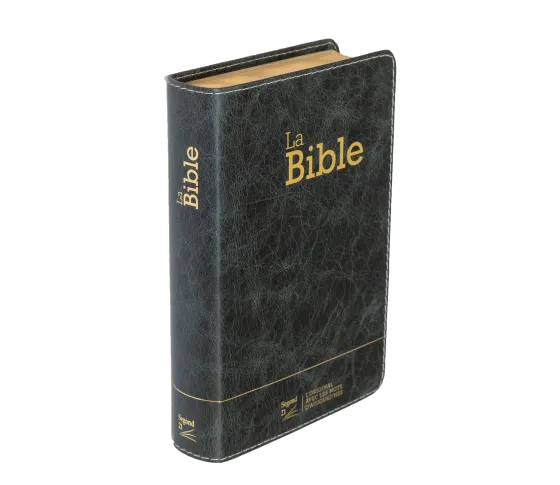 Bible Segond 21 compacte (Premium Style) - couverture souple, cuir anthracite, avec tranches dorées