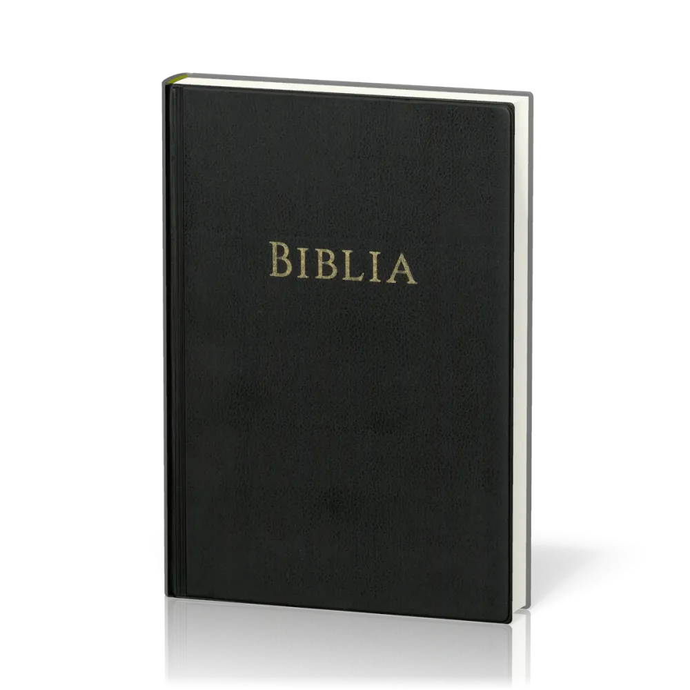 Rumänisch, Bibel, Traducerea GBV 2025, gebunden