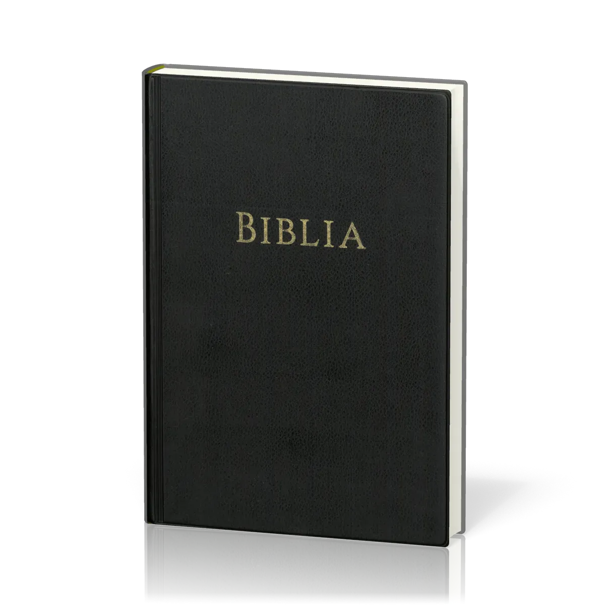 Rumänisch, Bibel, Traducerea GBV 2025, gebunden