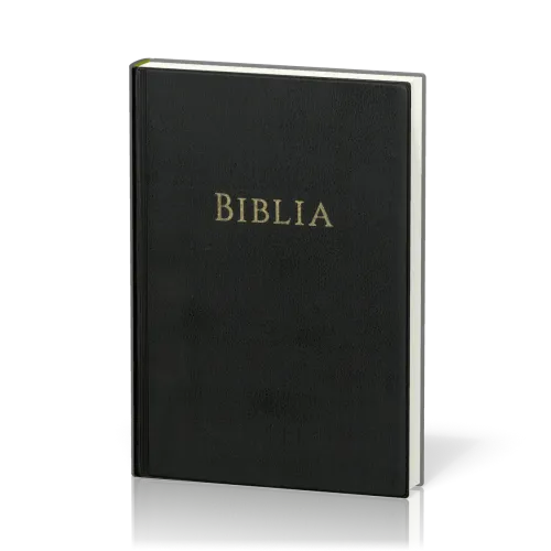 Rumänisch, Bibel, Traducerea GBV 2025, gebunden