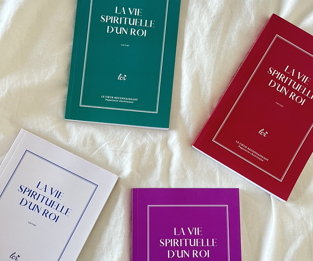 Carnet d'étude Prodiges & Miracles à travers Marc - Collection La vie spirituelle d'un roi