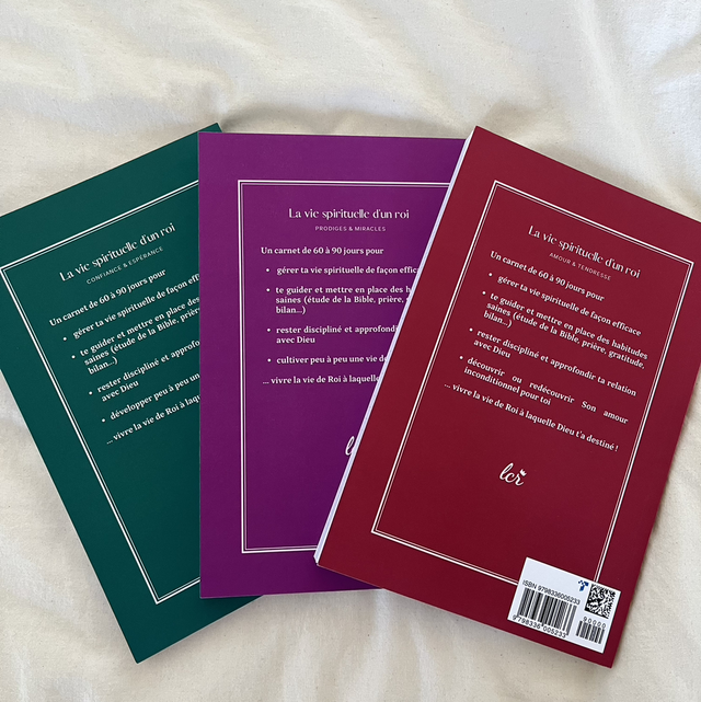 Carnet d'étude Prodiges & Miracles à travers Marc - Collection La vie spirituelle d'un roi