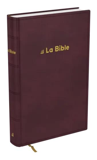 Bible Darby révisée format standard, rigide brun-rouge