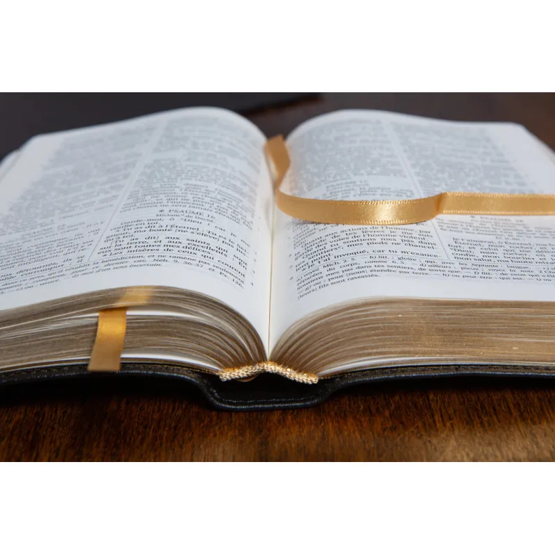 Bible Darby édition de Rolle, format moyen, cuir noir sans rebord, souple, tranche dorée