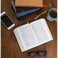 Bible Darby édition de Rolle, format moyen, cuir noir sans rebord, souple, tranche or