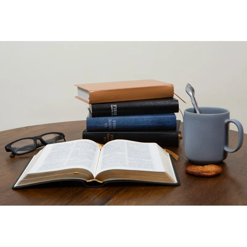 Bible Darby édition de Rolle, format moyen, cuir noir sans rebord, souple, tranche or
