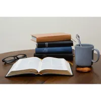Bible Darby édition de Rolle, format moyen, cuir noir sans rebord, souple, tranche or